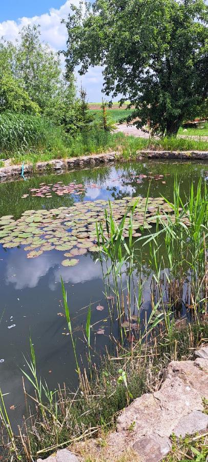 Domek U Rybnika Schloss Bosig 外观 照片